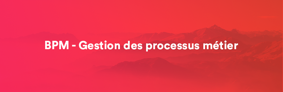 BPM – Gestion des processus métier