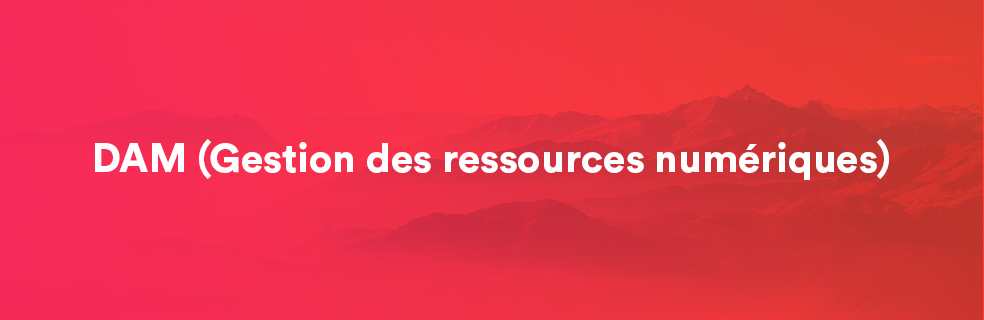 DAM – Gestion des ressources numériques